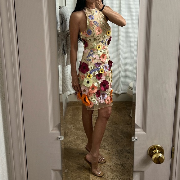 NWT 3-Dimensional Embroidered Floral Sheer Halter Mini Dress Sz: XS - Picture 4 of 16